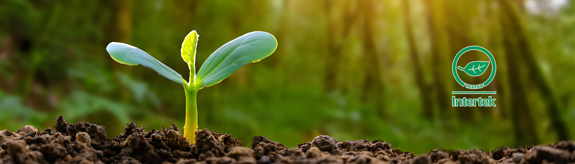 Nuestra tela de protección solar de biodegradación