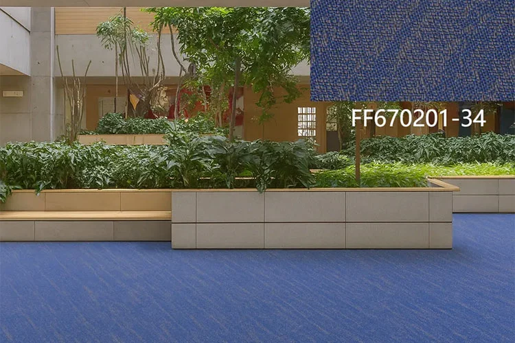 Onda de la educación