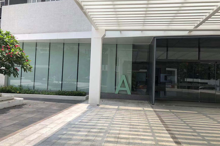 Cesta de novas