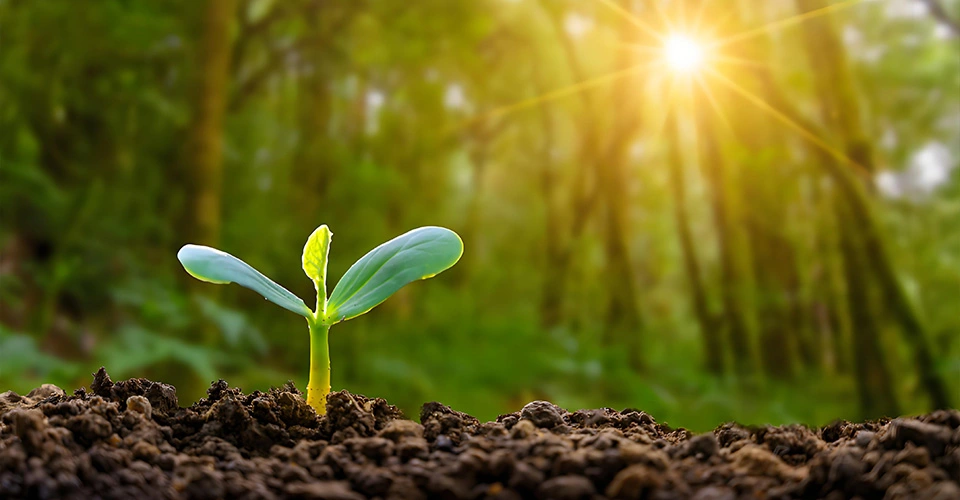 Nuestra tela de protección solar de biodegradación